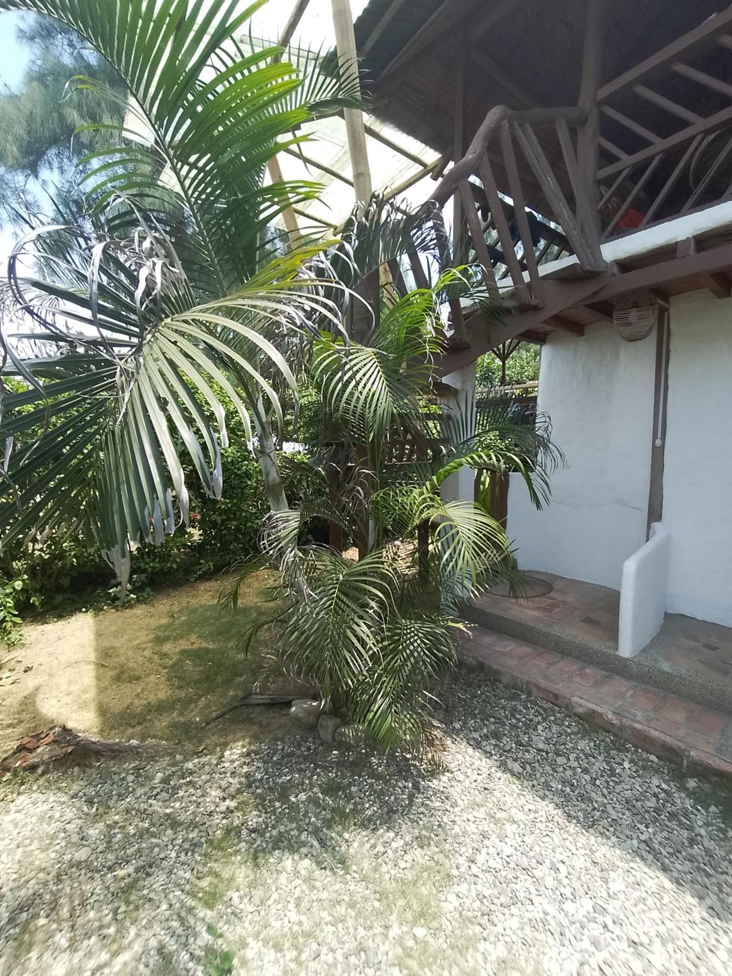 Hotel Palma Coco Ayampe Luaran gambar